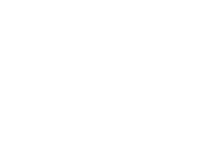 logo estudio parkes